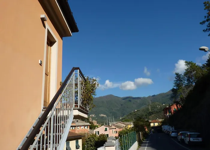La Gerbera